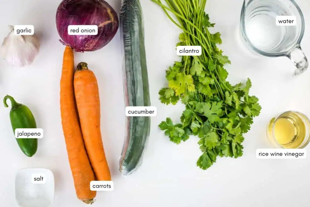 Fresh ingredients including garlic, jalapeno, red onion, carrots, cucumber, cilantro, water, rice wine vinegar, and salt are arranged on a white surface.