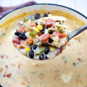 A ladle holds a serving of creamy soup with black beans, corn, tomatoes, green peppers, and shredded chicken over a pot of the same soup.