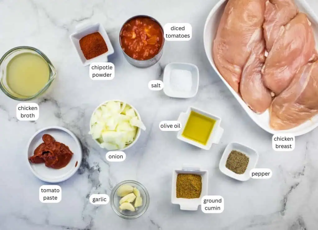 Ingredients for a chicken dish are arranged on a marble surface, including chicken breasts, spices, diced tomatoes, tomato paste, onion, garlic, chicken broth, olive oil, salt, and pepper.