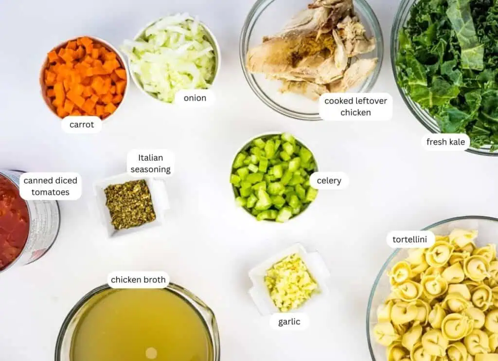 Various soup ingredients arranged in bowls on a white surface, including carrot, onion, chicken, kale, celery, canned tomatoes, Italian seasoning, broth, garlic, and tortellini.