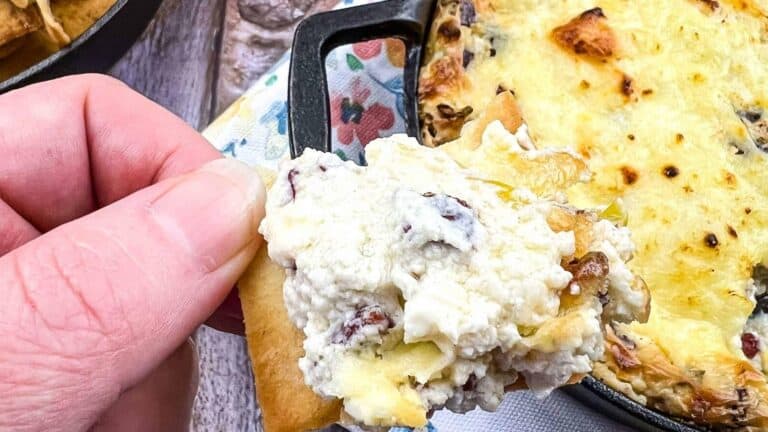 A hand holding a chip topped with a creamy, cheesy dip next to a cast iron skillet filled with baked dip.