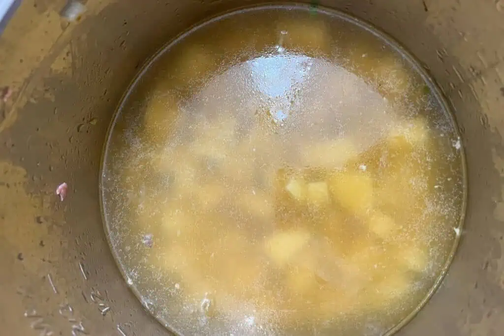 A pot filled with broth containing chunks of potatoes.