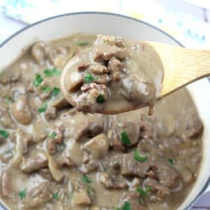 A wooden spoon holds a serving of beef stroganoff with mushrooms and creamy sauce above a pot filled with the dish.