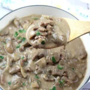 A wooden spoon holds a serving of beef stroganoff with mushrooms and creamy sauce above a pot filled with the dish.