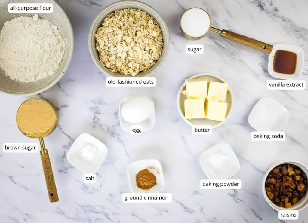 Labeled ingredients for oatmeal cookies arranged on a marble surface, including flour, oats, sugars, egg, butter, vanilla, baking powder, baking soda, salt, cinnamon, and raisins.
