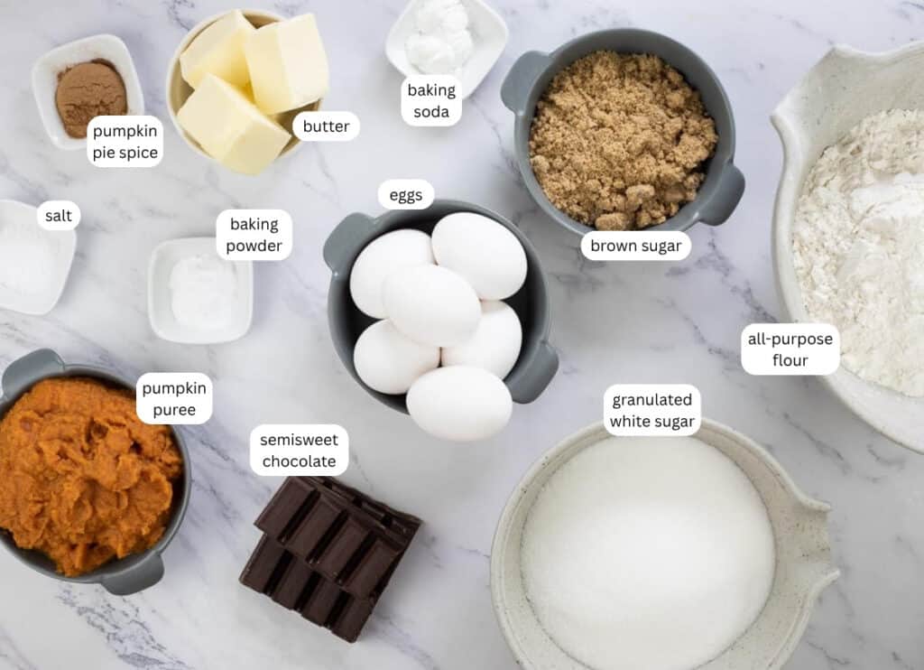 Bowls and plates with labeled baking ingredients on a marble surface, including eggs, flour, sugars, pumpkin puree, chocolate, butter, baking soda, baking powder, salt, and pumpkin pie spice.