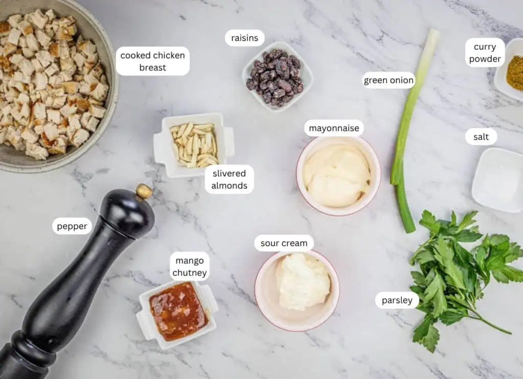 Ingredients for a chicken salad recipe are arranged on a marble surface, each labeled: cooked chicken breast, raisins, green onion, curry powder, salt, parsley, sour cream, mayonnaise, mango chutney, slivered almonds, and pepper.