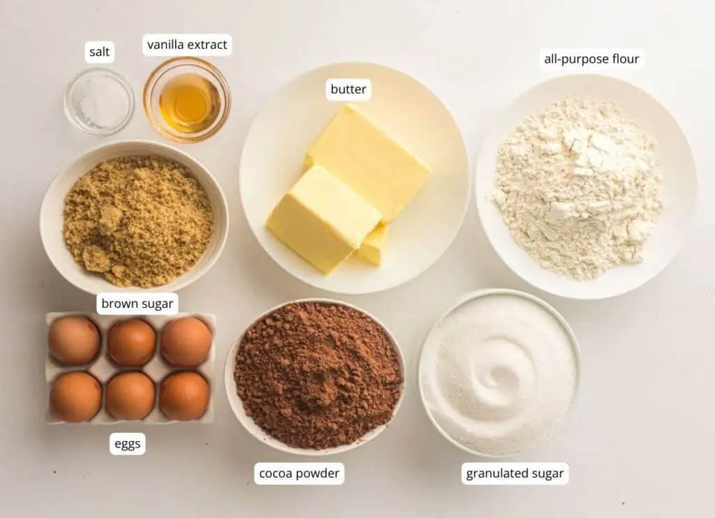 Top-down view of labeled baking ingredients: salt, vanilla extract, butter, all-purpose flour, brown sugar, eggs, cocoa powder, and granulated sugar, each in separate bowls or plates.